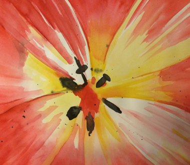 Tulpe, Auarell