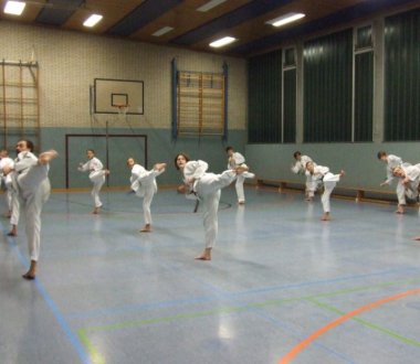 Taekwondo