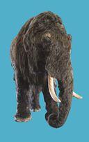 Sonderausstellung: Eiszeit Safari