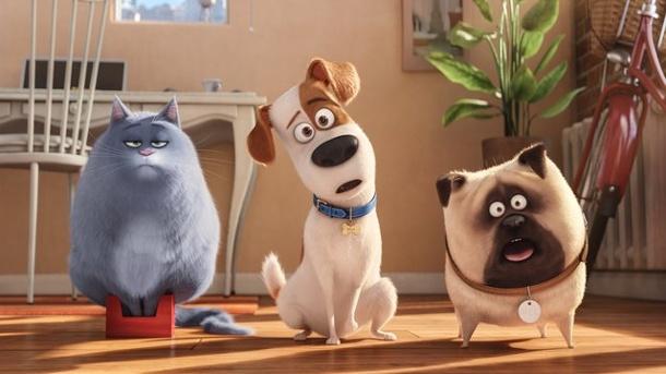 Film: "Pets"
