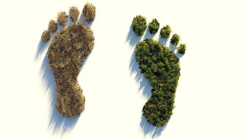 Grünanlagen in Hamm - Ein wissenschaftlicher Spaziergang durch den Hammer Kurpark