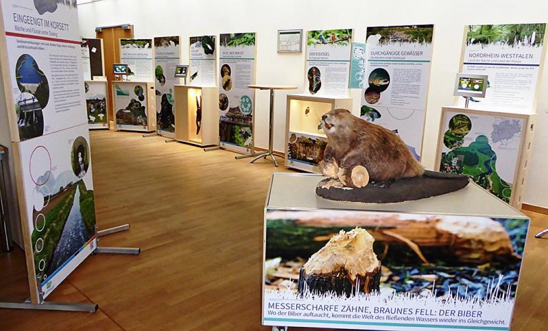 Wanderausstellung "Lebendige Gewässer in NRW"