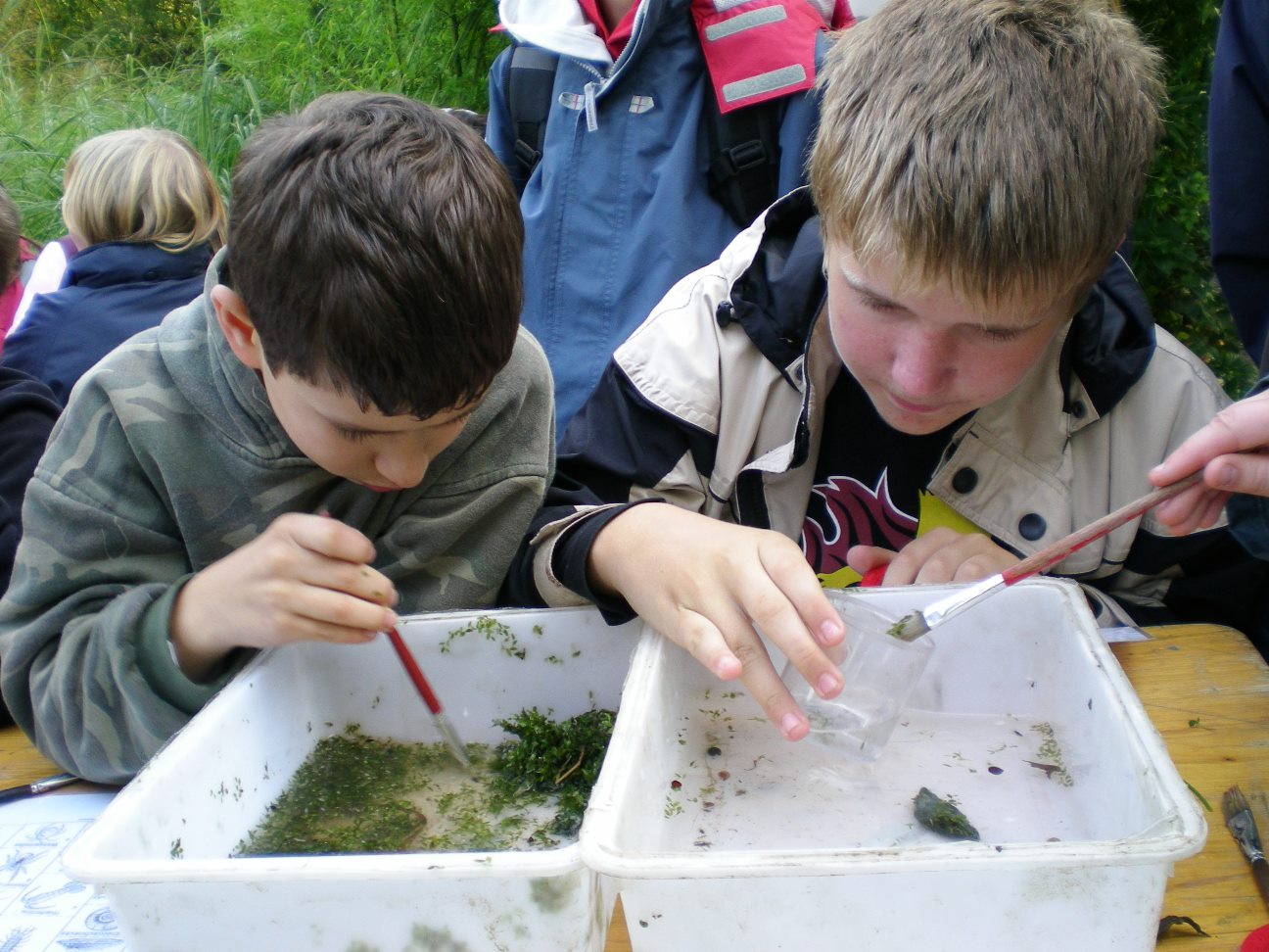 MAXI-Scouts-Naturentdecker für Schulkinder