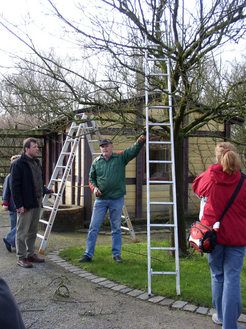 Obstbaumschnittkurs