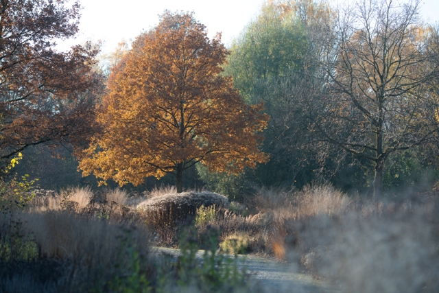 Herbstliche Staudenbeete