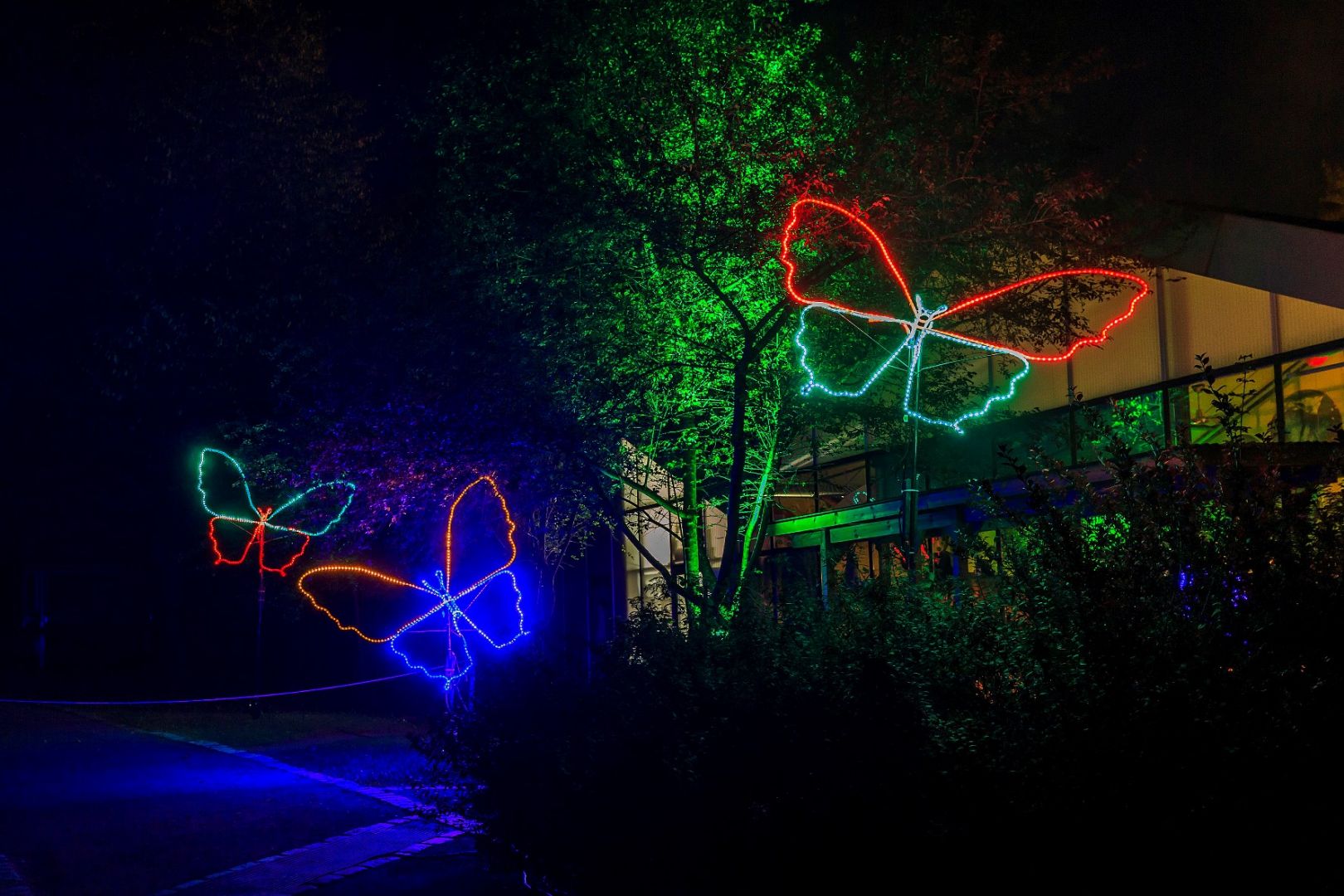 Herbstleuchten Der Maxipark erstrahlt in geheimnisvollem Licht