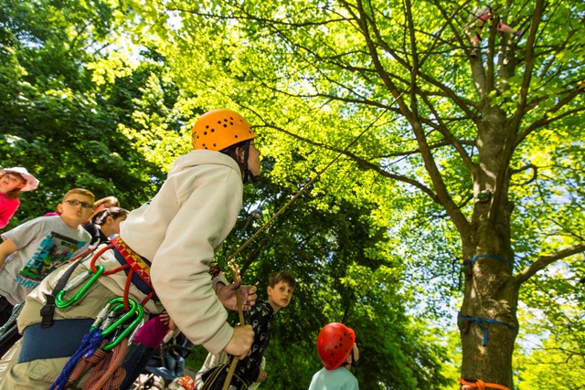 Klettern bis in die Baumspitzen