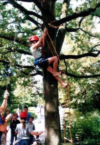 Ab in den Baum – Kletterworkshop