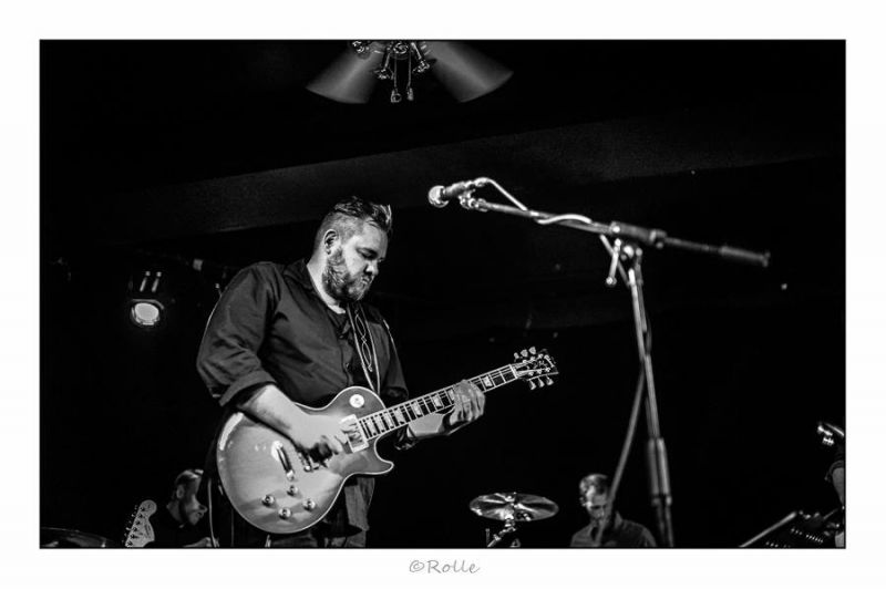 The High Grass Dogs - Tribute to Tom Petty