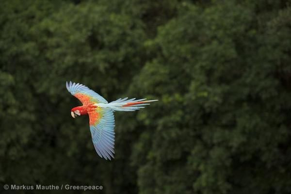 Multimediale Fotoshow "Naturwunder Erde" mit Markus Mauthe